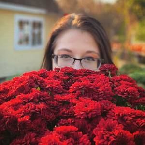 Meet your Posher, Lily